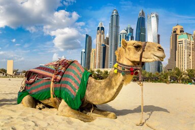 Dubai videos