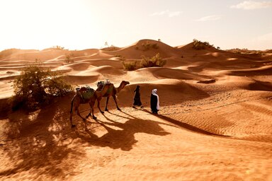 Egypt videos