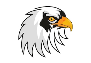 bald eagle vectors