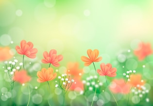 Spring vectors